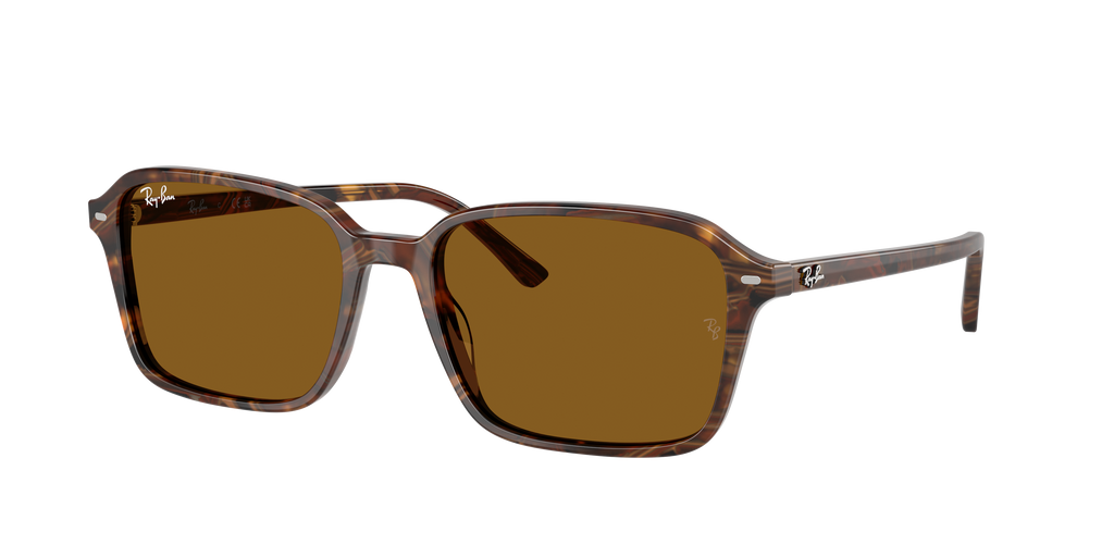 Ray-Ban | 0RB2231