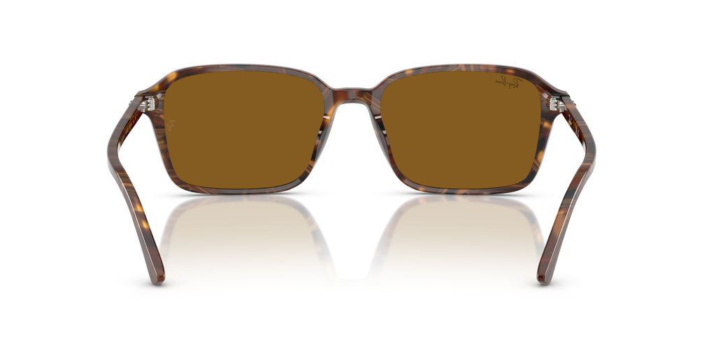 Ray-Ban | 0RB2231