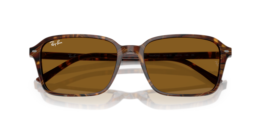 Ray-Ban | 0RB2231