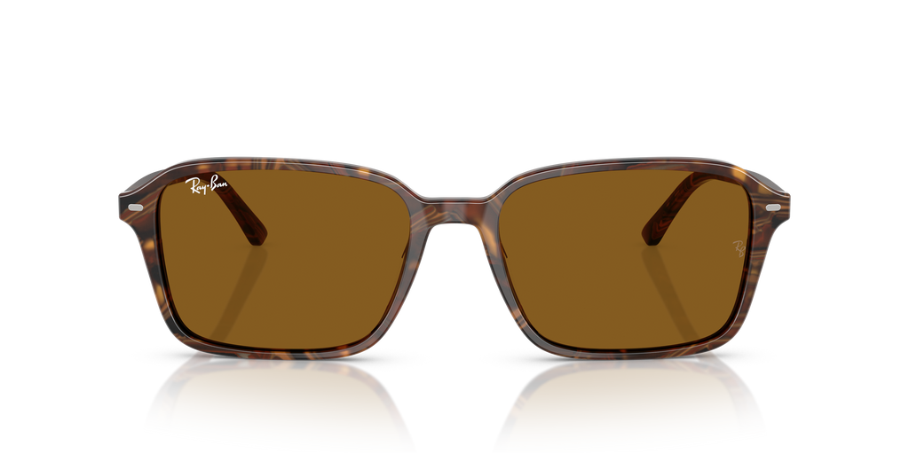 Ray-Ban | 0RB2231