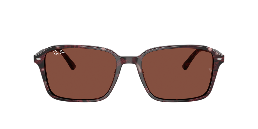 Ray-Ban | 0RB2231