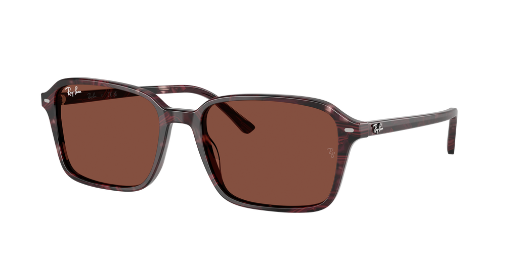 Ray-Ban | 0RB2231