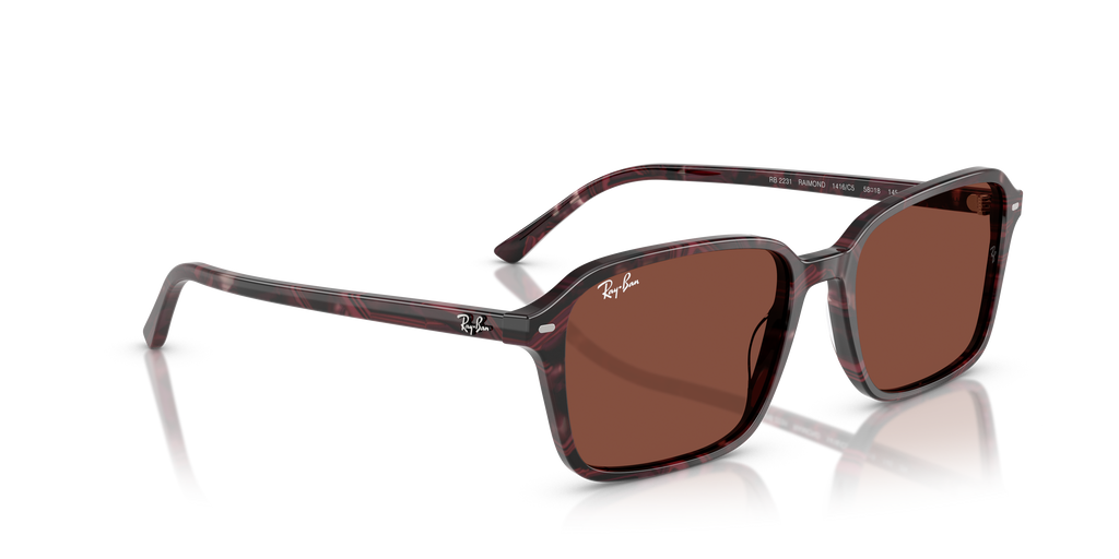 Ray-Ban | 0RB2231