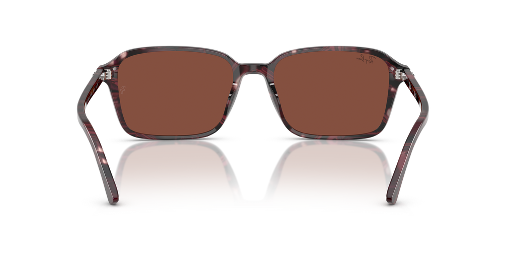 Ray-Ban | 0RB2231