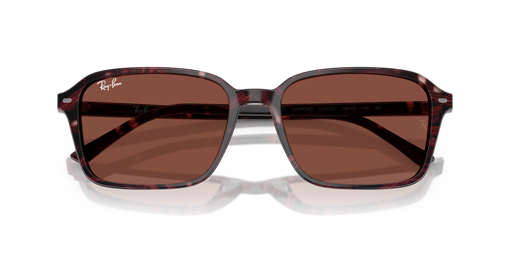 Ray-Ban | 0RB2231