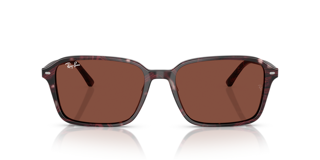 Ray-Ban | 0RB2231