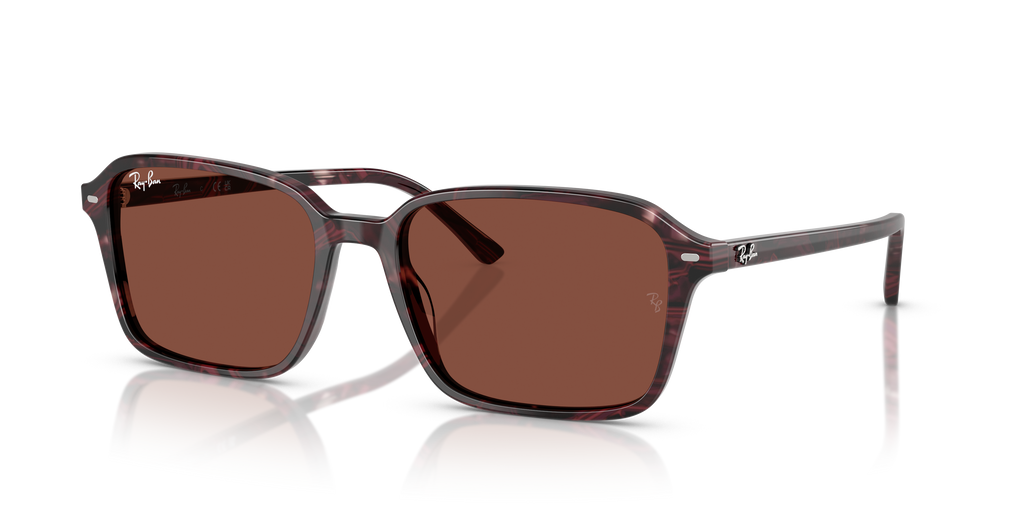 Ray-Ban | 0RB2231