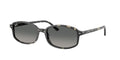 Ray-Ban | 0RB2232