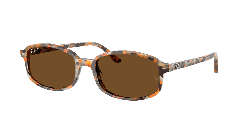 Ray-Ban | 0RB2232