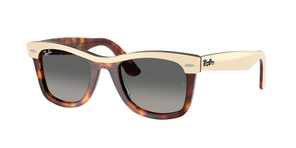 Ray-Ban | 0RB2240