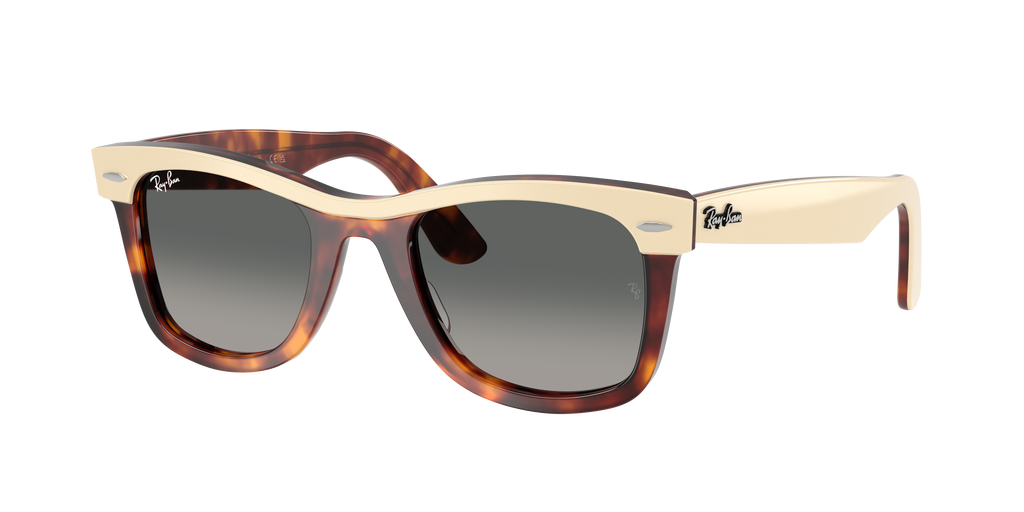 Ray-Ban | 0RB2240
