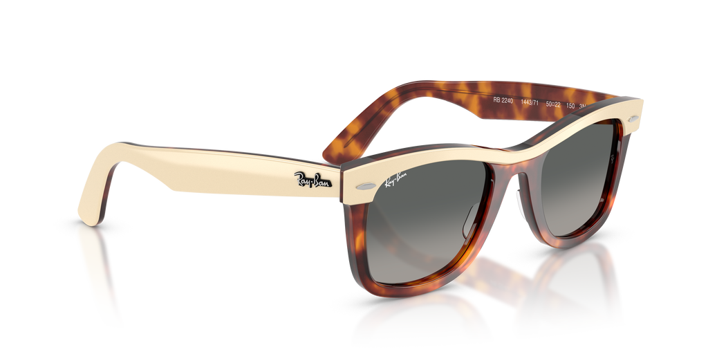 Ray-Ban | 0RB2240
