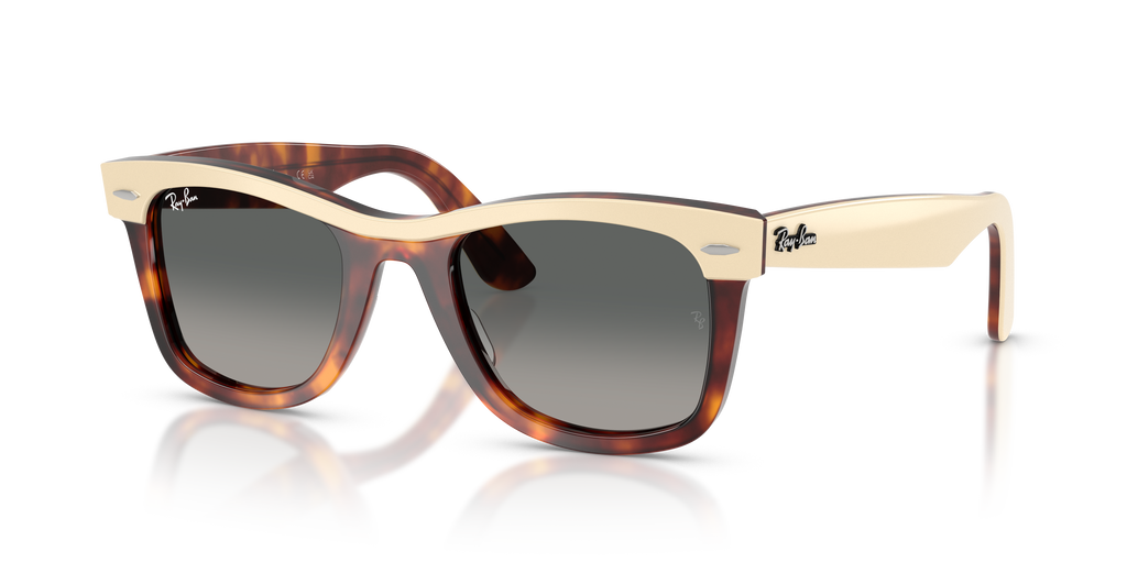 Ray-Ban | 0RB2240