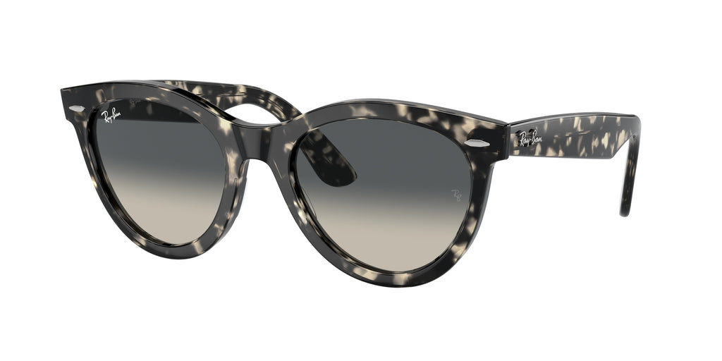 Ray-Ban | 0RB2241