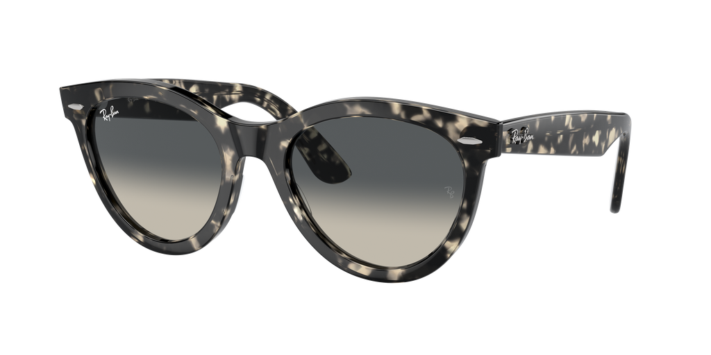 Ray-Ban | 0RB2241