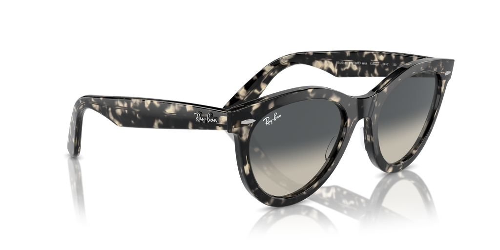 Ray-Ban | 0RB2241