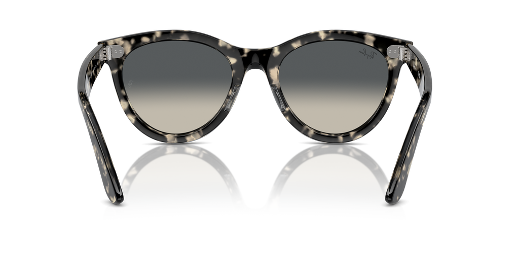 Ray-Ban | 0RB2241