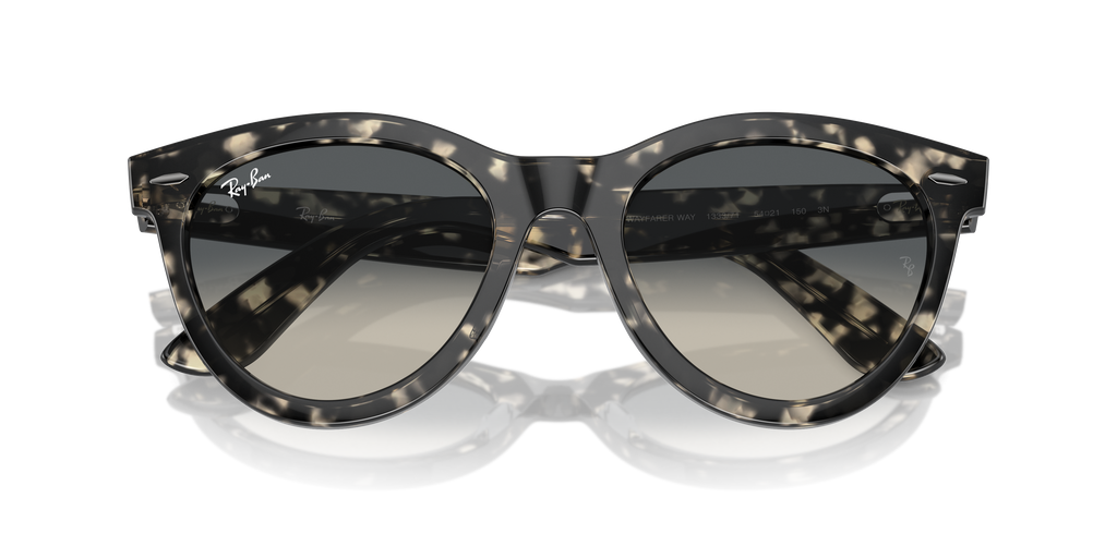 Ray-Ban | 0RB2241