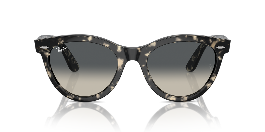 Ray-Ban | 0RB2241