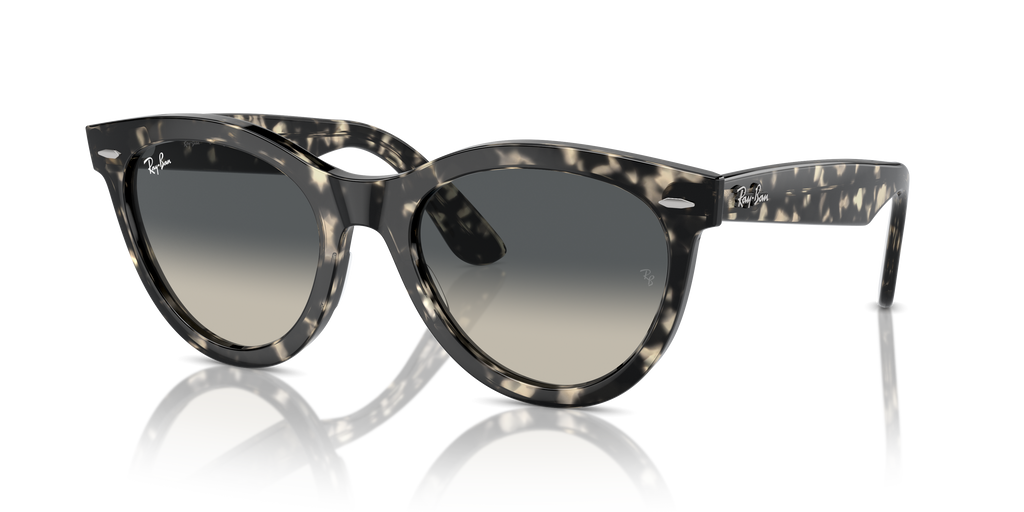 Ray-Ban | 0RB2241