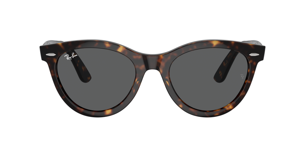 Ray-Ban | 0RB2241