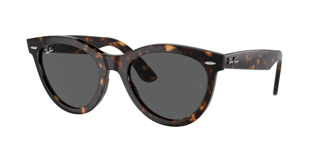 Ray-Ban | 0RB2241