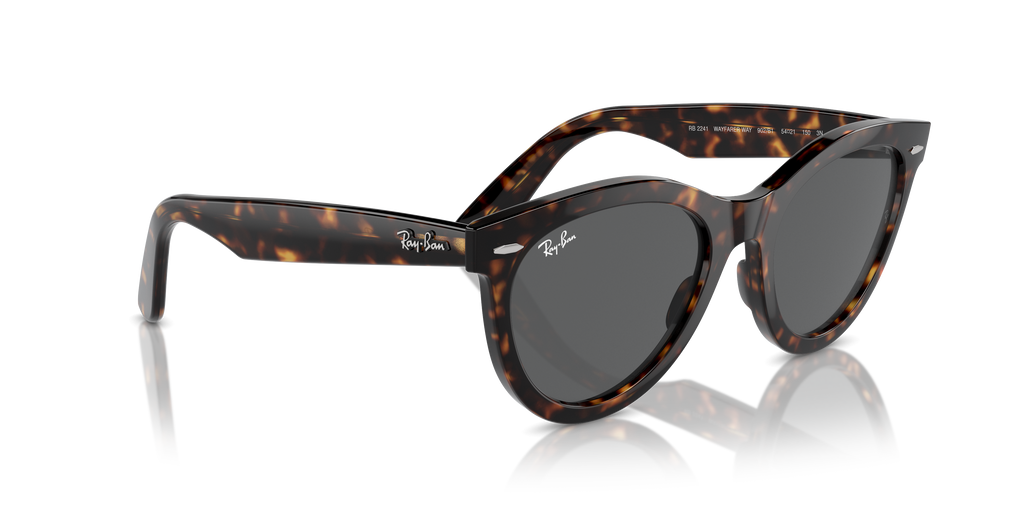 Ray-Ban | 0RB2241