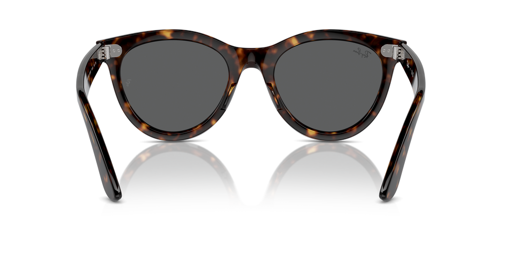 Ray-Ban | 0RB2241