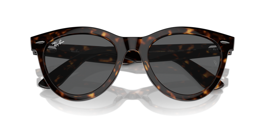 Ray-Ban | 0RB2241
