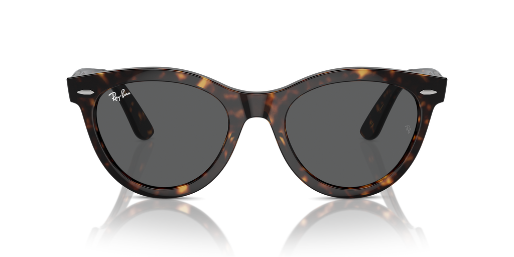 Ray-Ban | 0RB2241