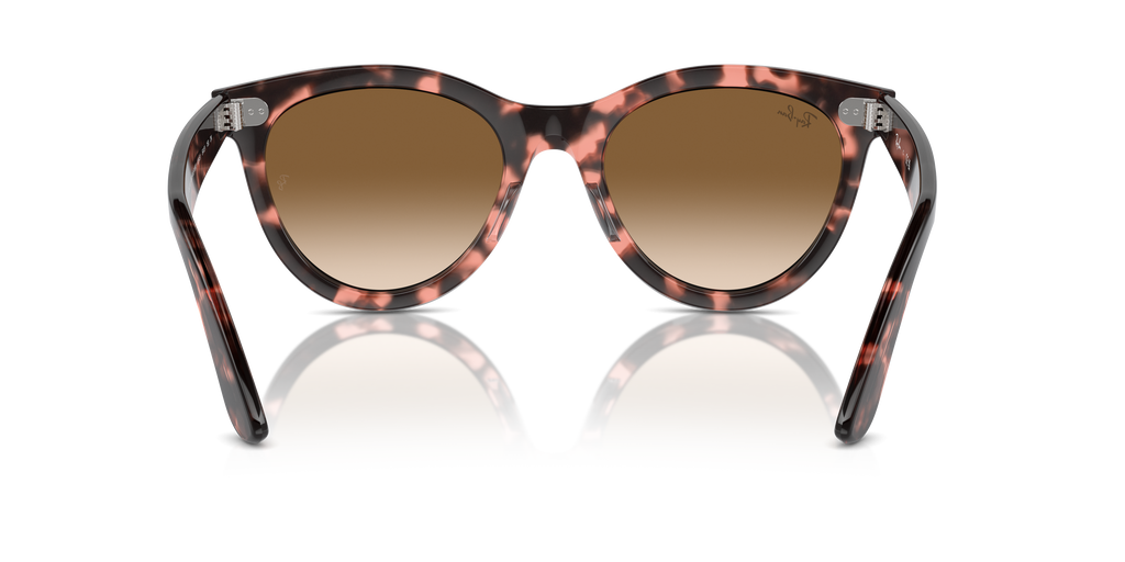 Ray-Ban | 0RB2241