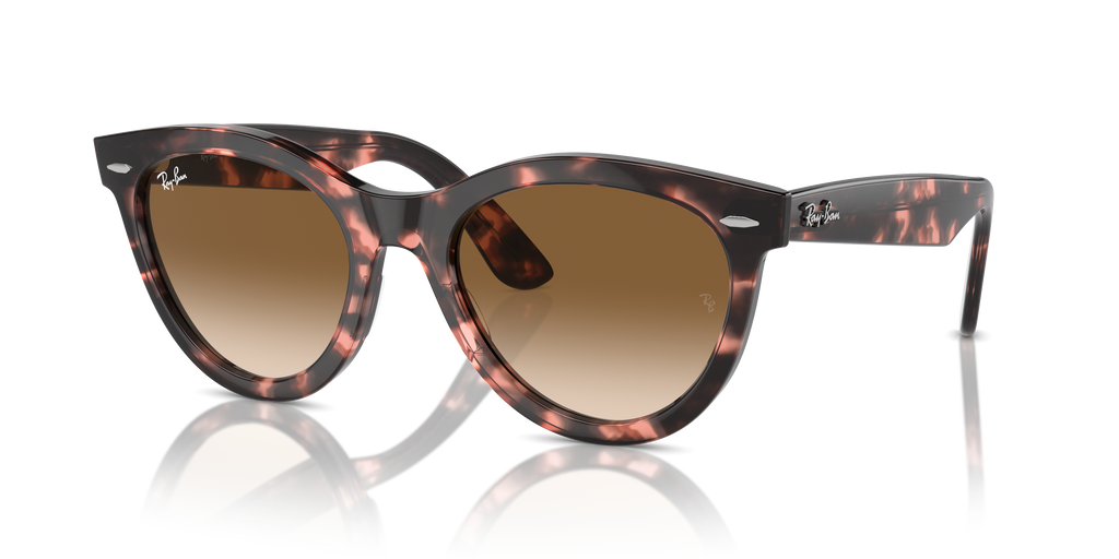 Ray-Ban | 0RB2241