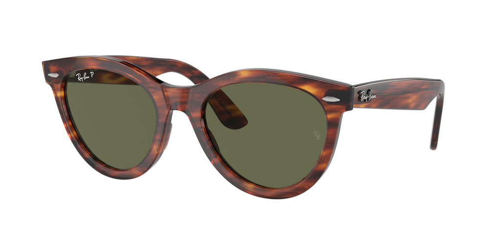 Ray-Ban | 0RB2241