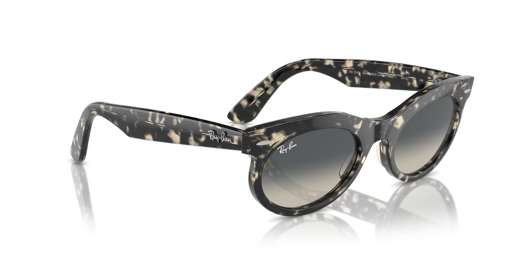 Ray-Ban | 0RB2242