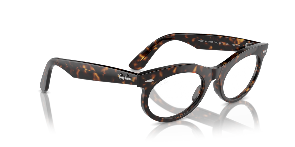 Ray-Ban | 0RB2242