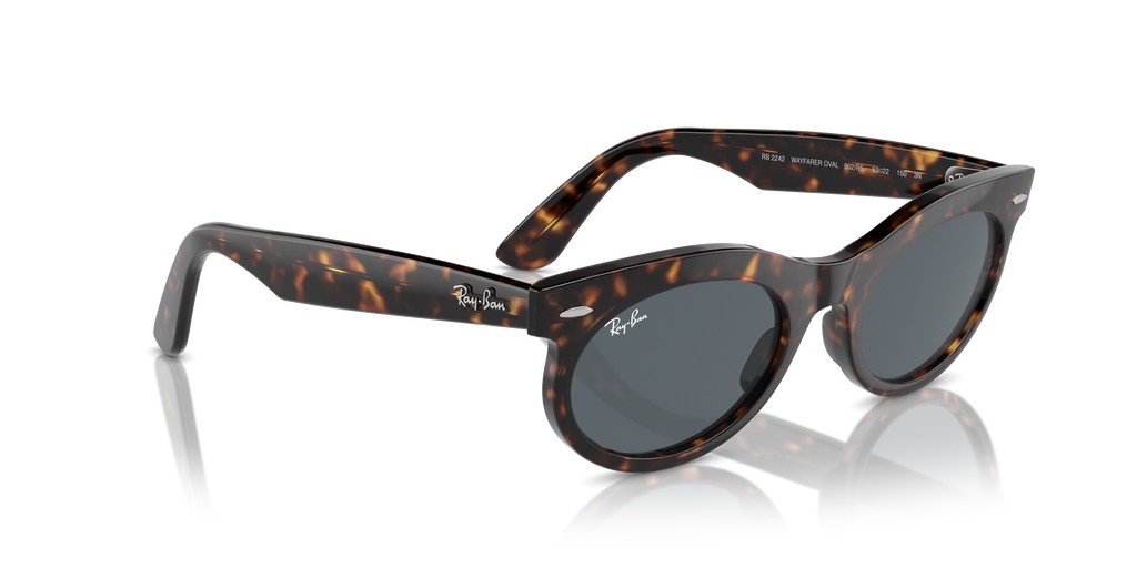 Ray-Ban | 0RB2242