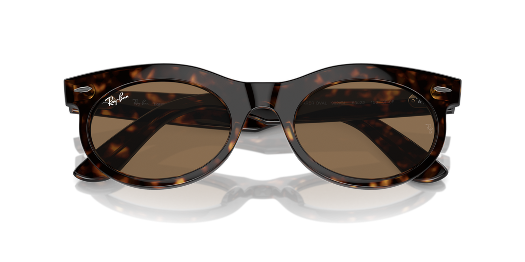 Ray-Ban | 0RB2242
