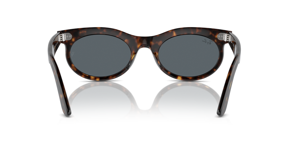 Ray-Ban | 0RB2242