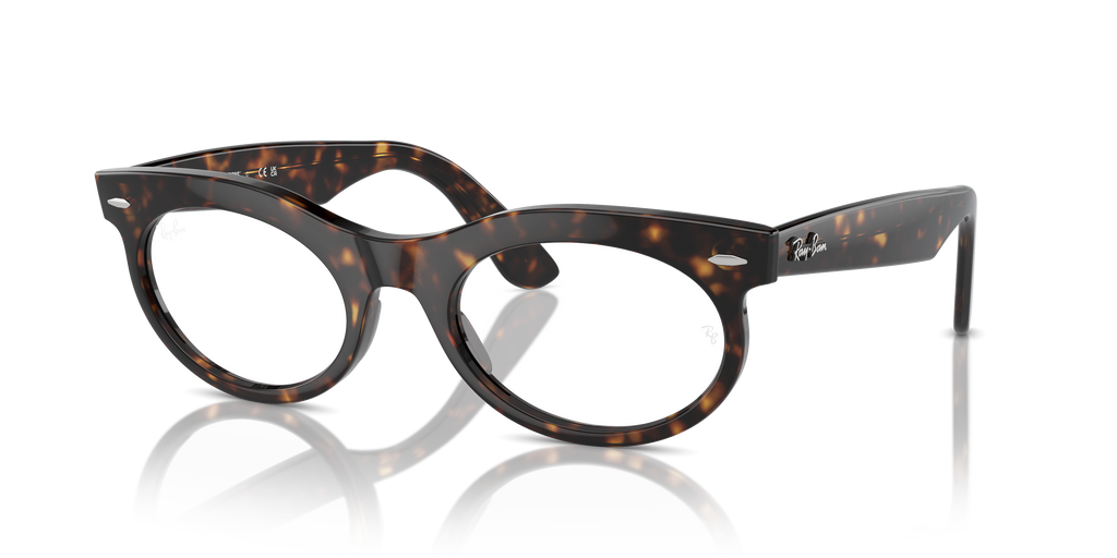 Ray-Ban | 0RB2242