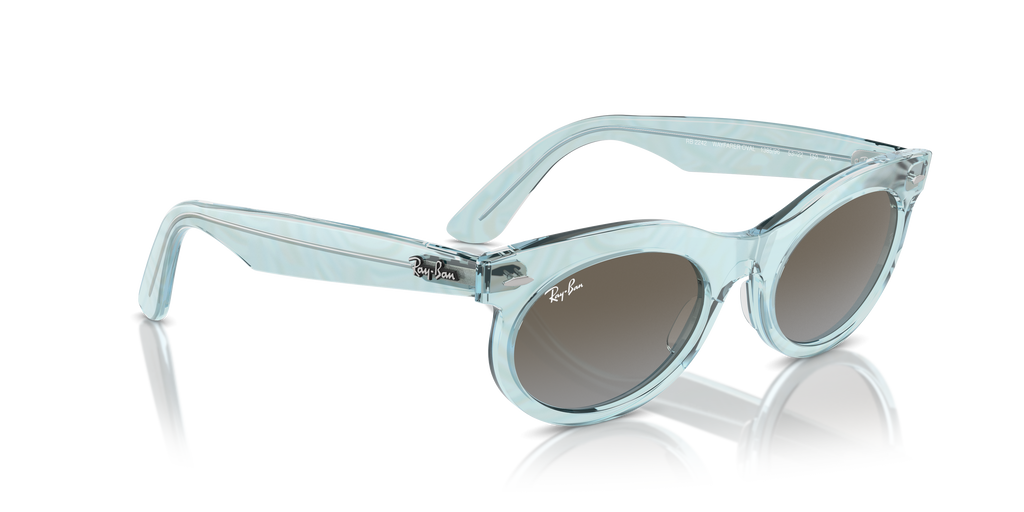 Ray-Ban | 0RB2242