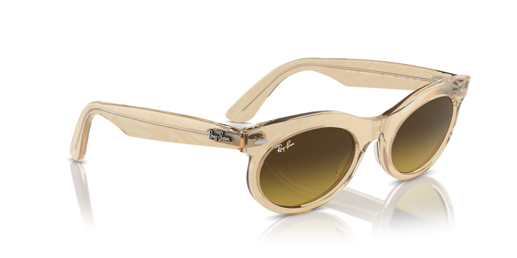 Ray-Ban | 0RB2242