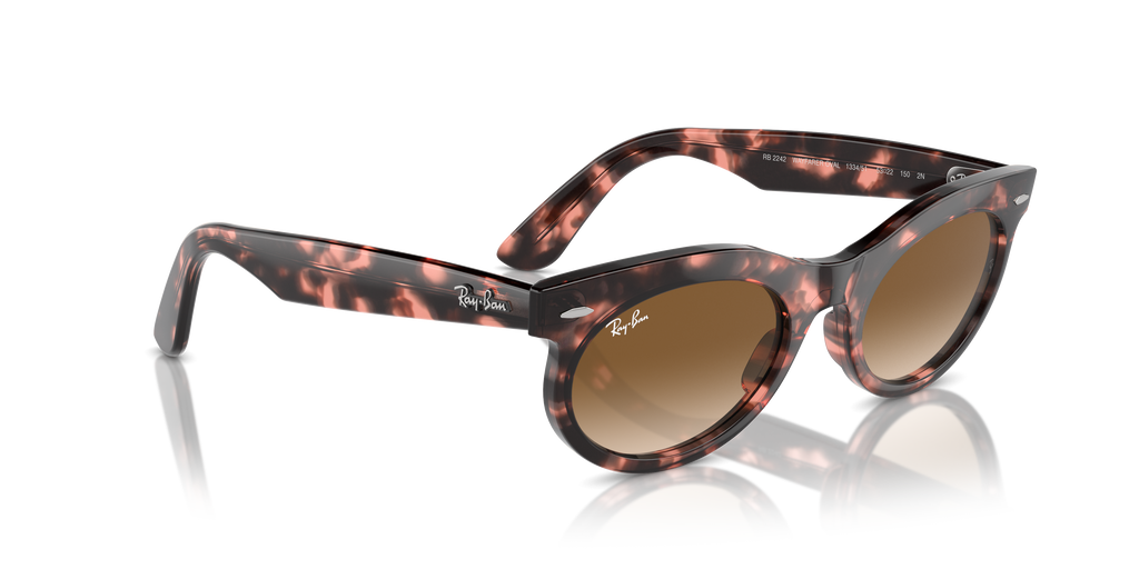 Ray-Ban | 0RB2242