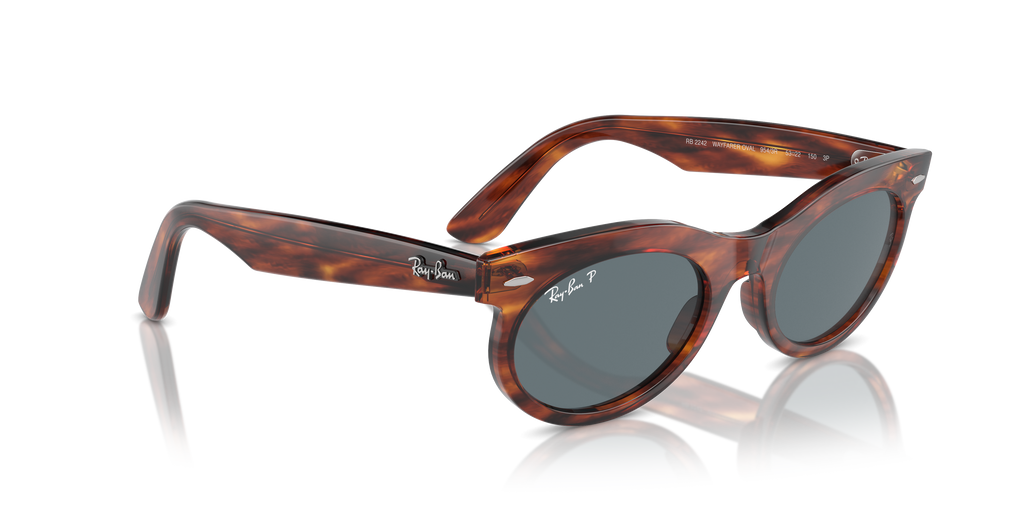 Ray-Ban | 0RB2242