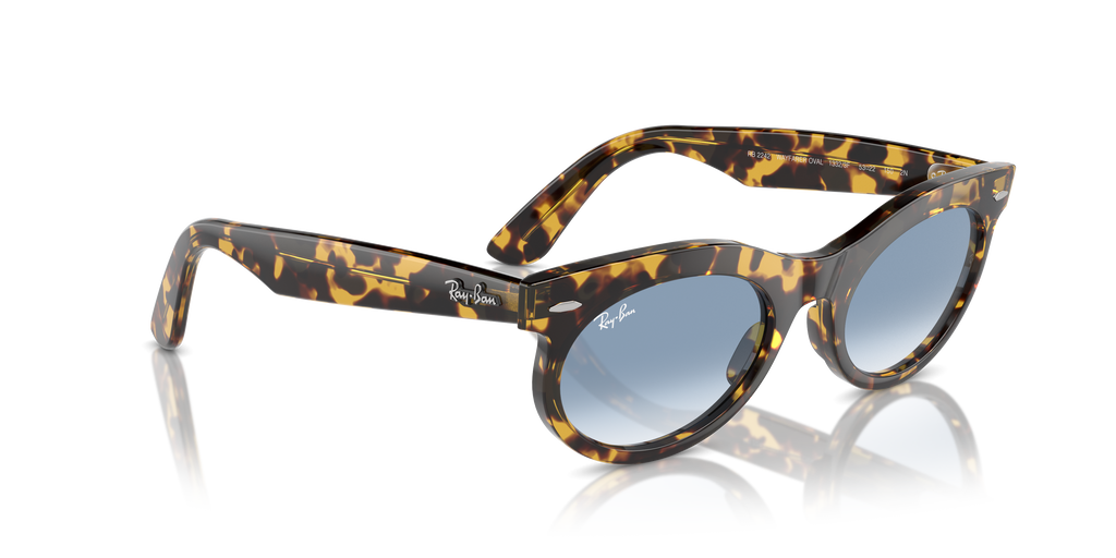 Ray-Ban | 0RB2242