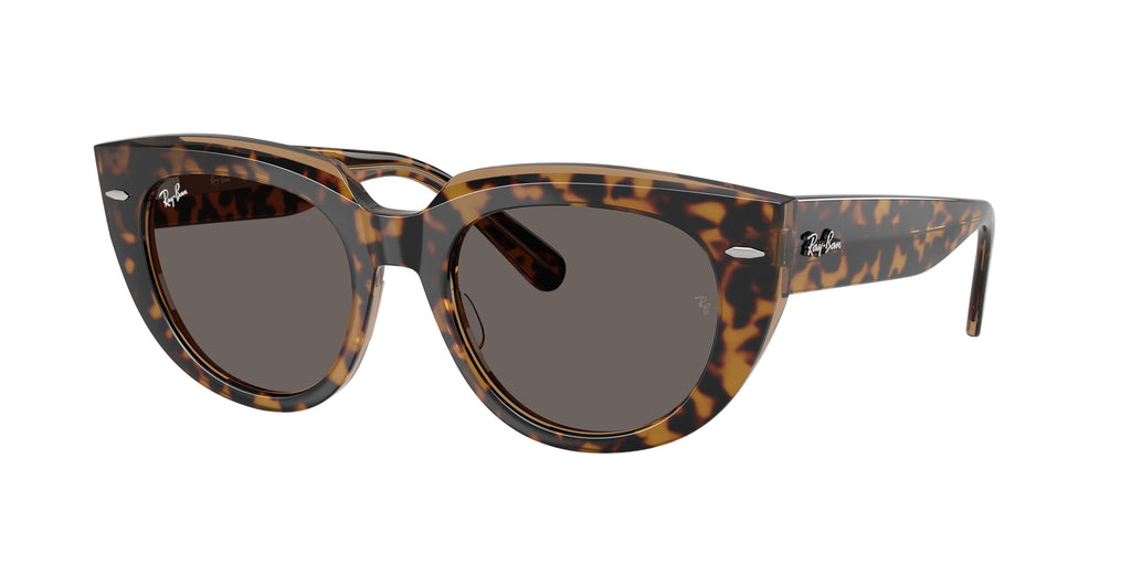 Ray-Ban | 0RB2286