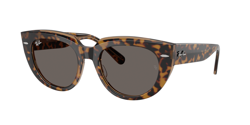 Ray-Ban | 0RB2286