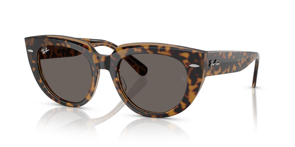 Ray-Ban | 0RB2286