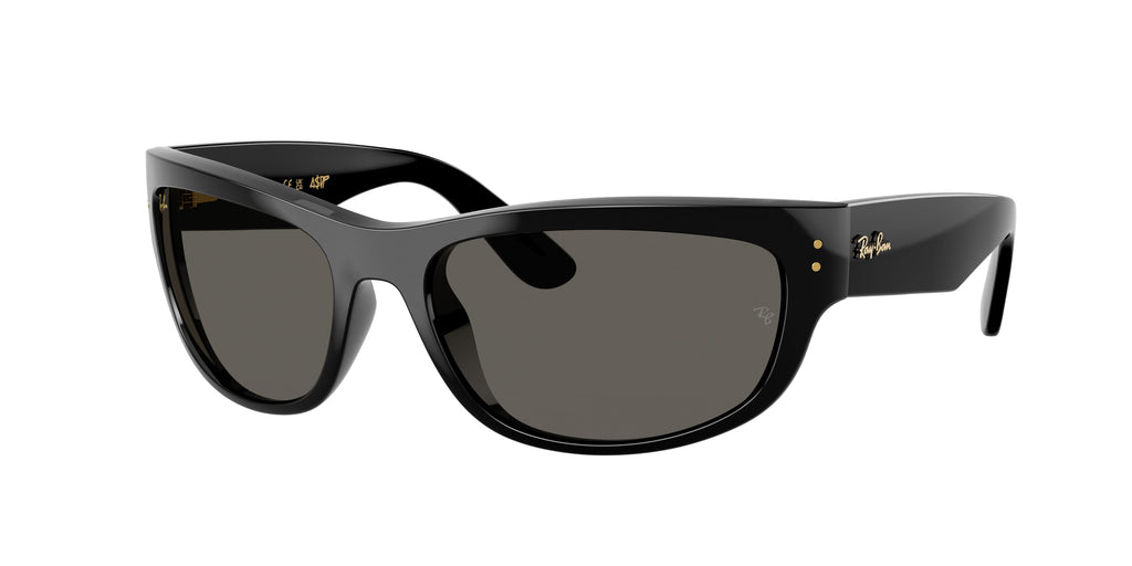 Ray-Ban | 0RB2289