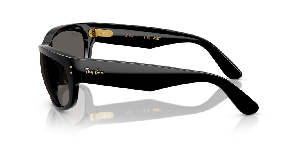 Ray-Ban | 0RB2289