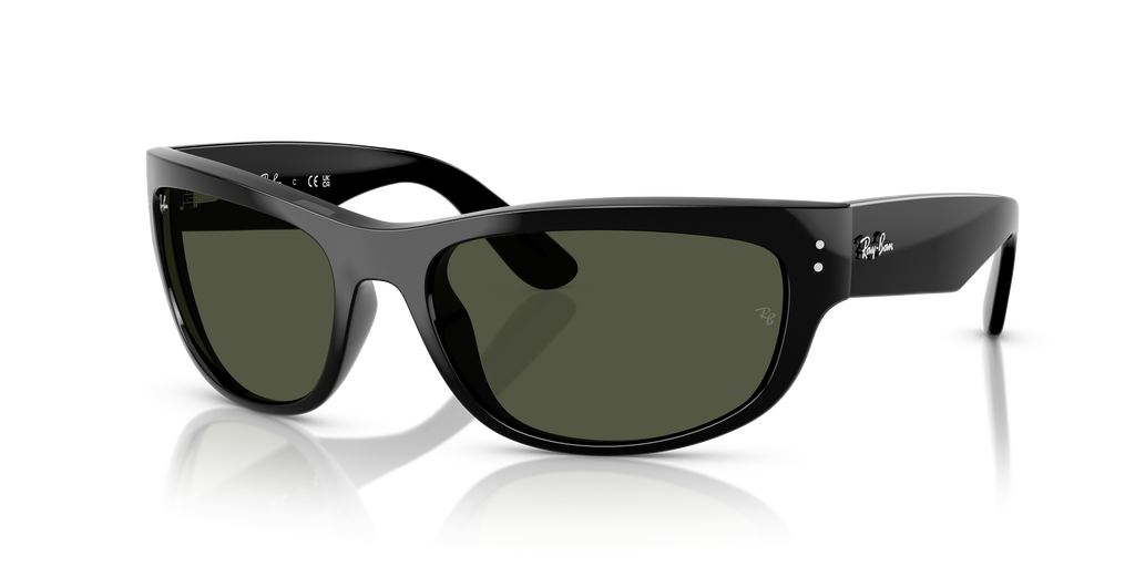 Ray-Ban | 0RB2289